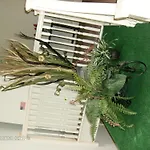 Pleasant Rooming House