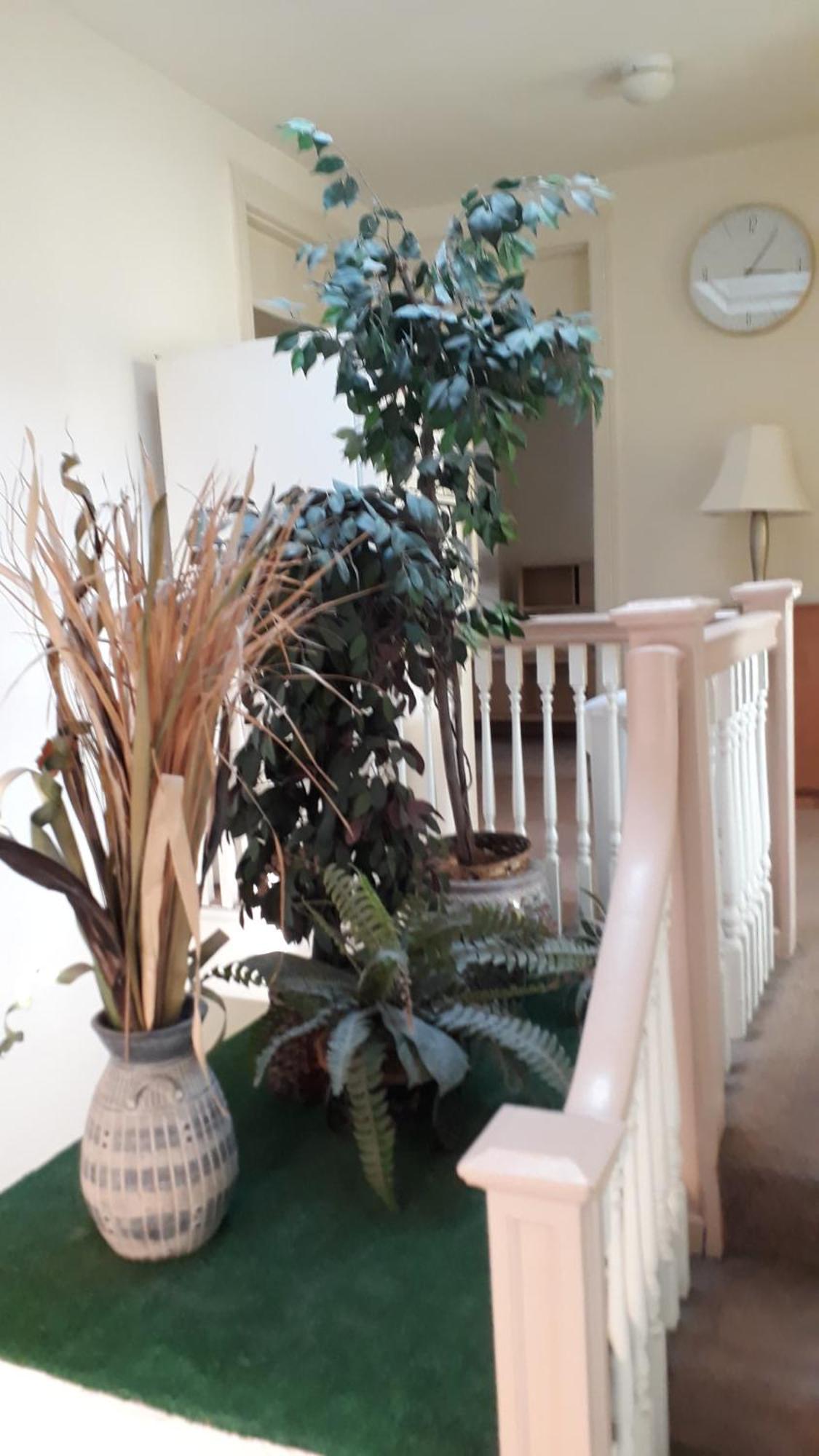 Privat bolig Pleasant Rooming House Washington
